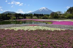 平日の富士山291