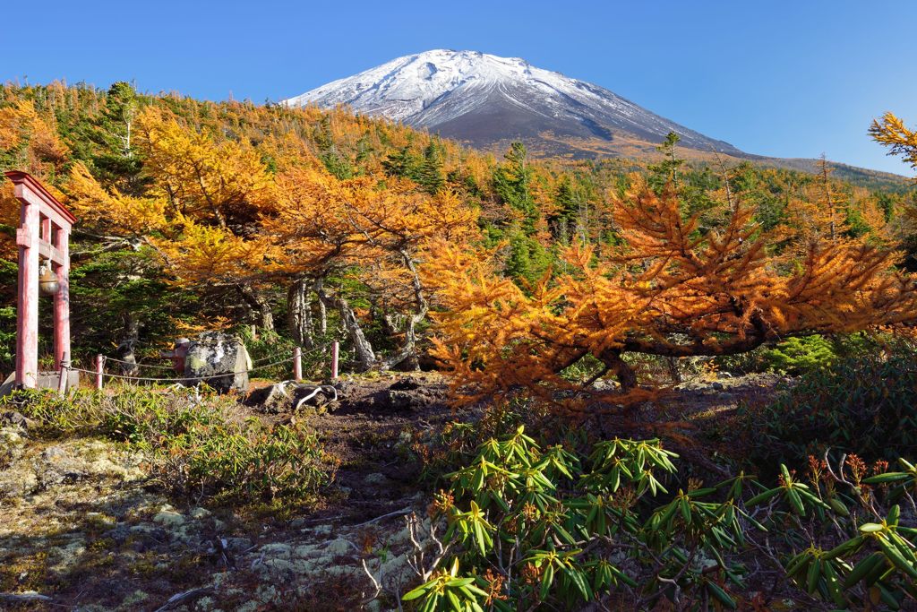 平日の富士山397