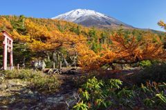 平日の富士山397
