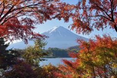 平日の富士山911