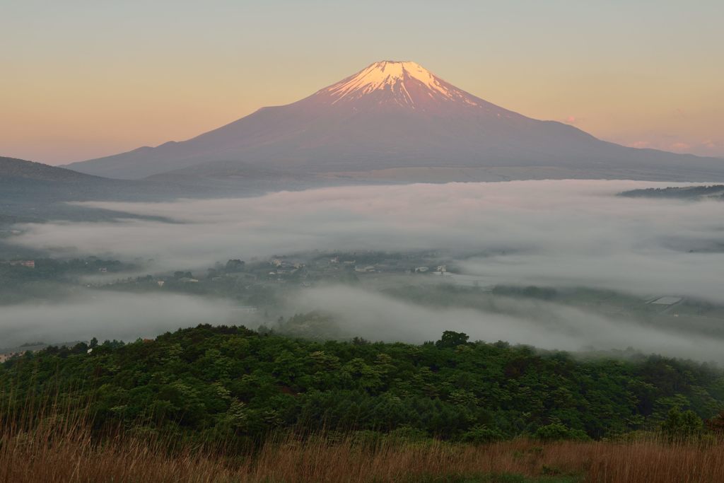 平日の富士山315