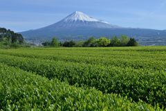 週末の富士山（新作1169）