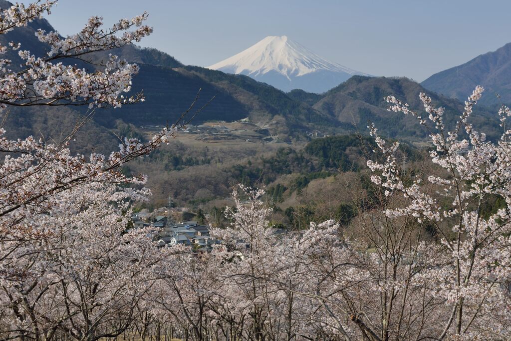 平日の富士山1096