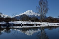 週末の富士山（新作1216）