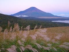 週末の富士山（新作1036）
