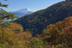 平日の富士山837
