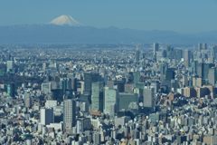 平日の富士山198