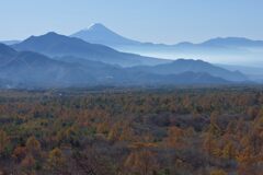 平日の富士山834