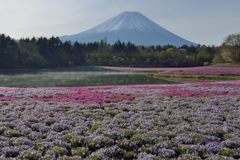 週末の富士山（新作1191）