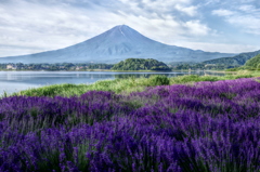 平日の富士山50