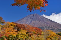 週末の富士山（新作327）