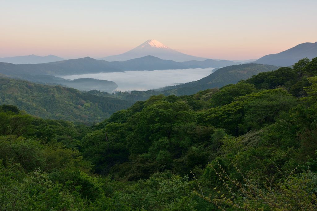 平日の富士山304