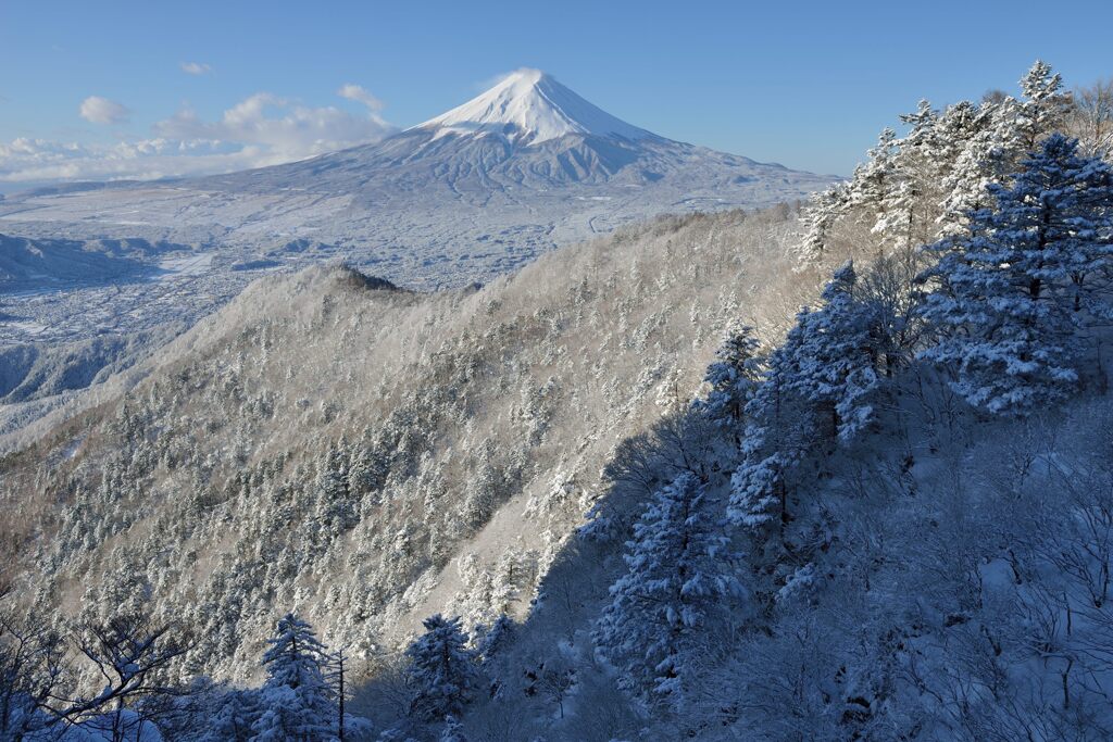 週末の富士山（新作1371）