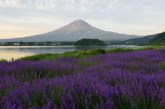 平日の富士山46