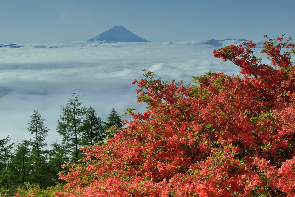 平日の富士山26
