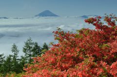 平日の富士山26