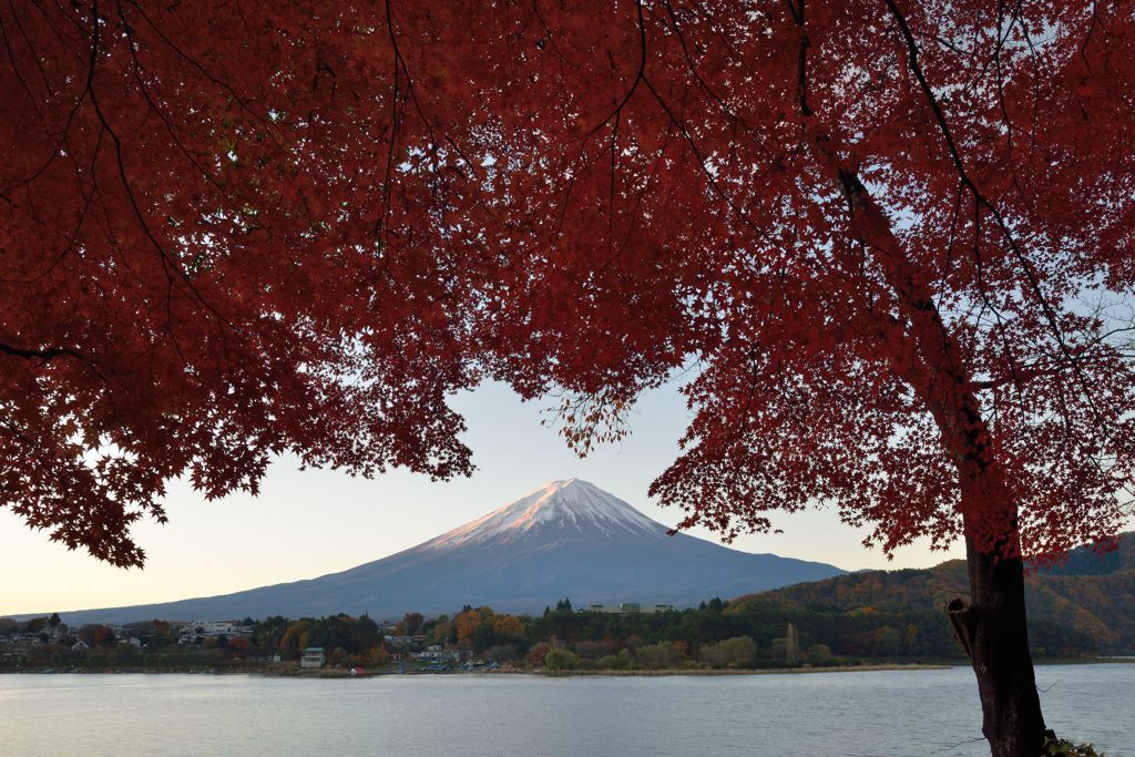 平日の富士山146