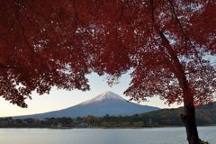 平日の富士山146