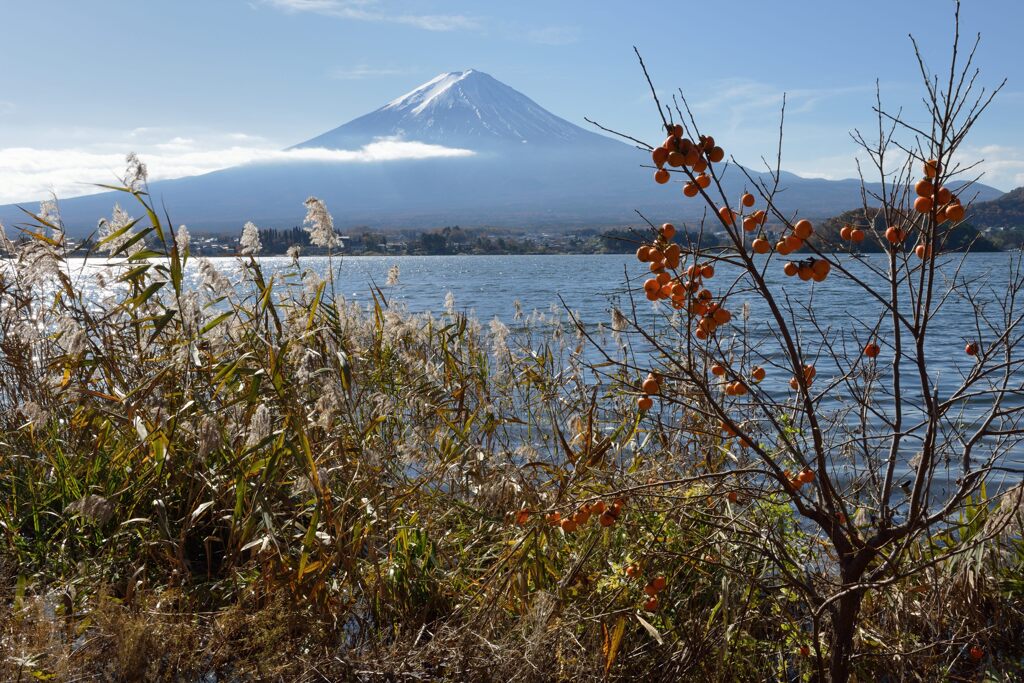 平日の富士山930