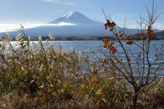 平日の富士山930