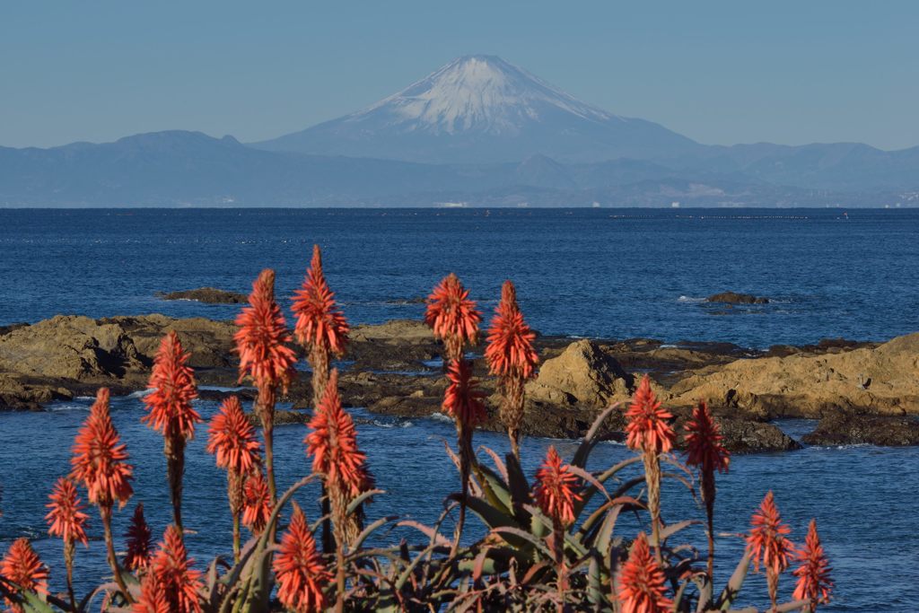 平日の富士山585