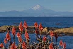 平日の富士山585