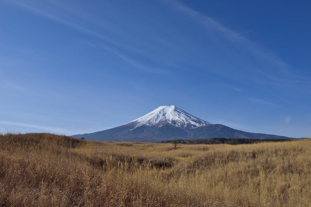 週末の富士山（新作1121）