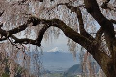 平日の富士山271