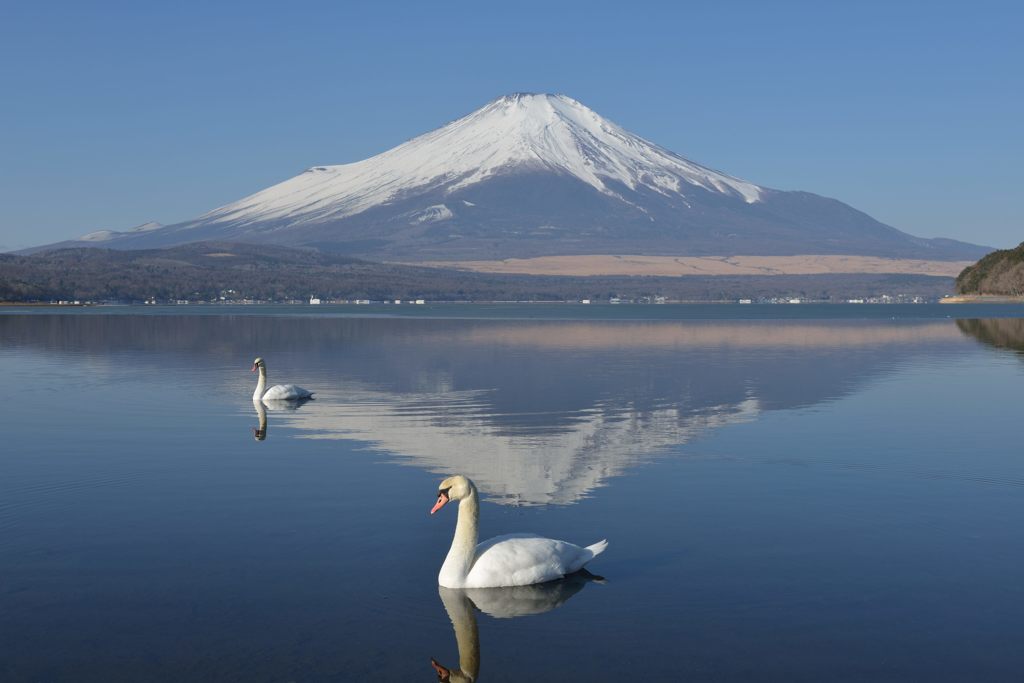 週末の富士山（新作791）