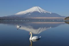 週末の富士山（新作791）