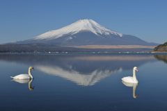 週末の富士山（新作789）