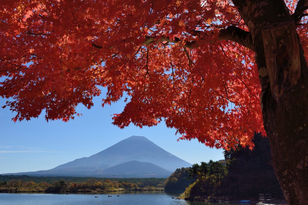 平日の富士山424