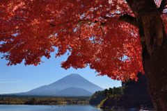 平日の富士山424