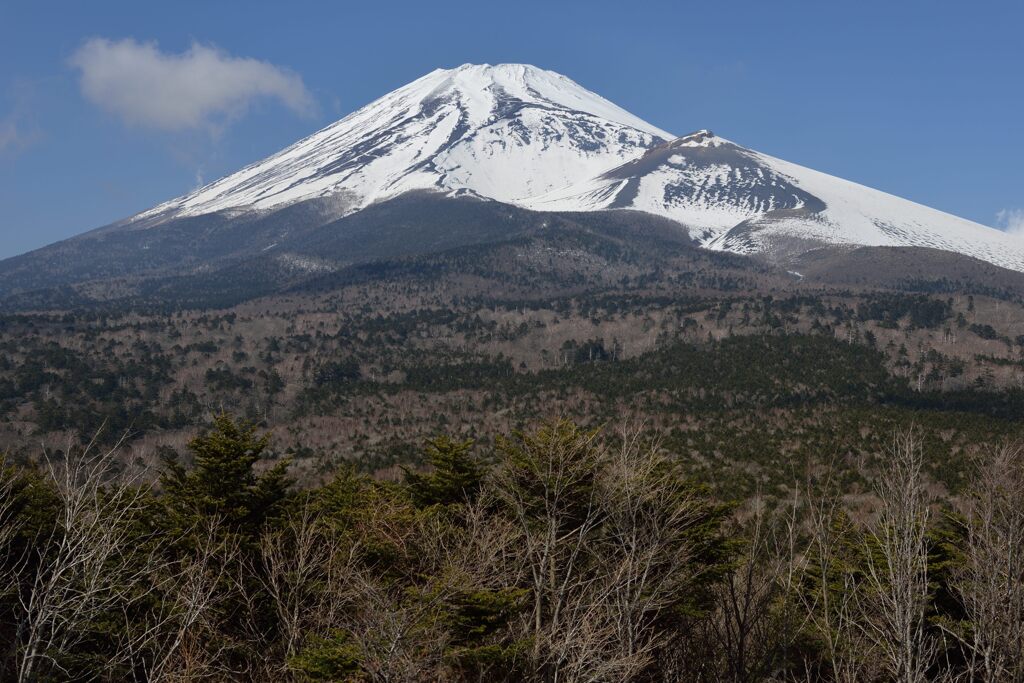 平日の富士山1040
