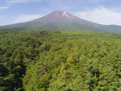 平日の富士山356