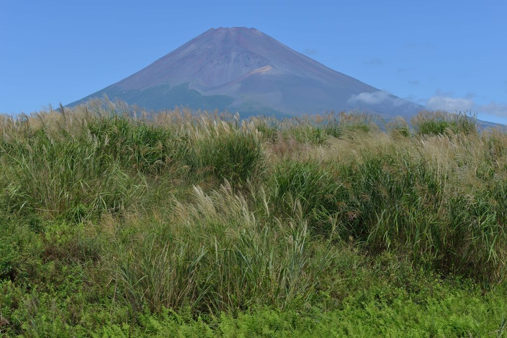 週末の富士山156