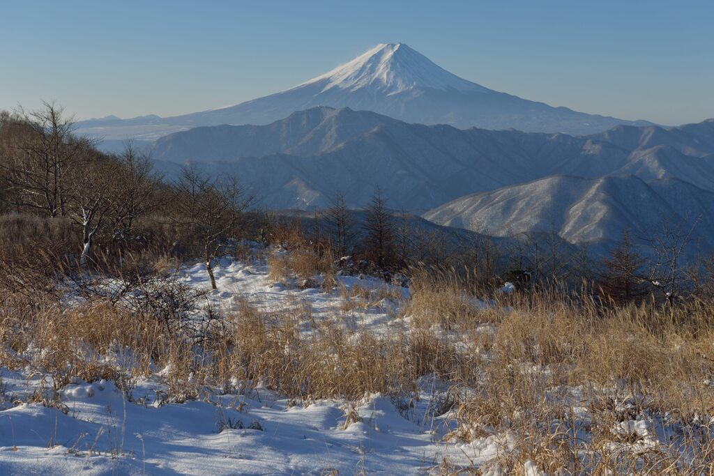 平日の富士山1001