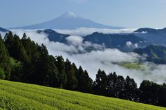 平日の富士山22 平日の富士山22