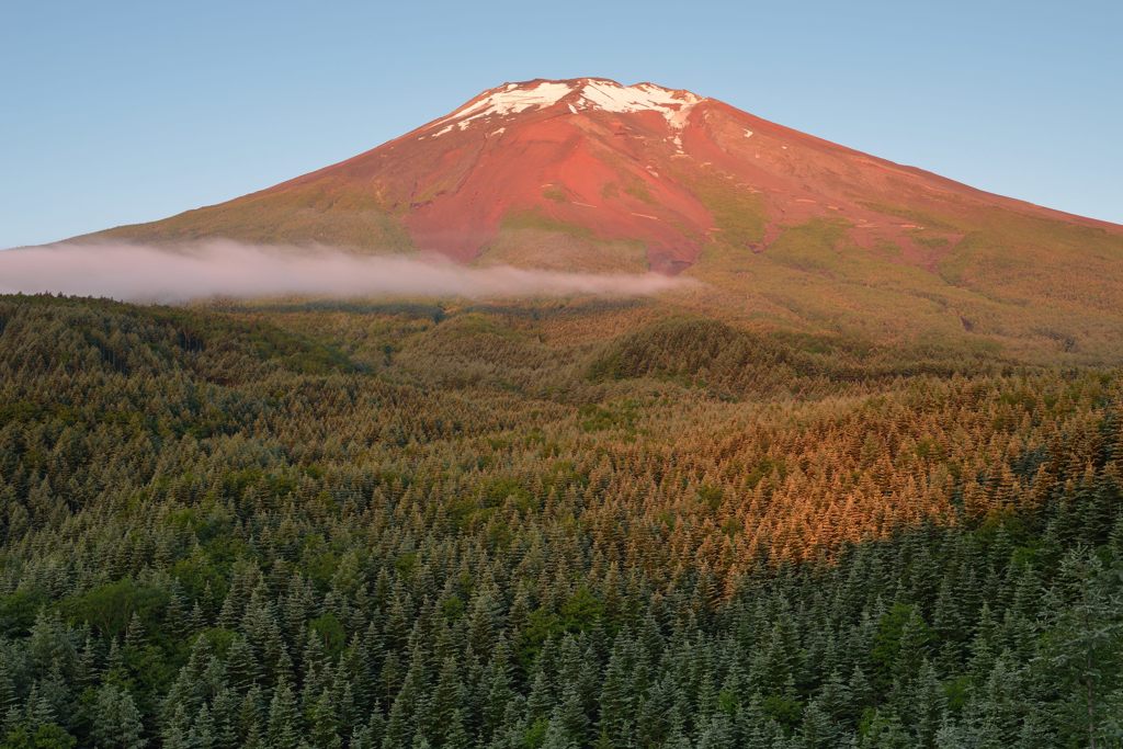 週末の富士山（新作916）