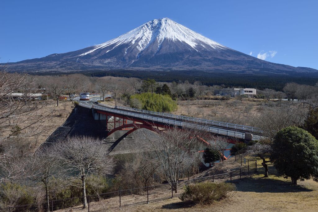 週末の富士山（新作1289）