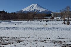 週末の富士山（新作1209）