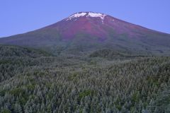 週末の富士山（新作913）