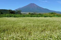 週末の富士山（新作1018）