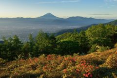 週末の富士山（新作232）