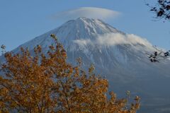 平日の富士山884