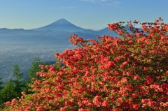 週末の富士山（新作233）