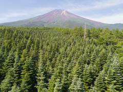 平日の富士山357