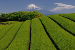週末の富士山（新作607）