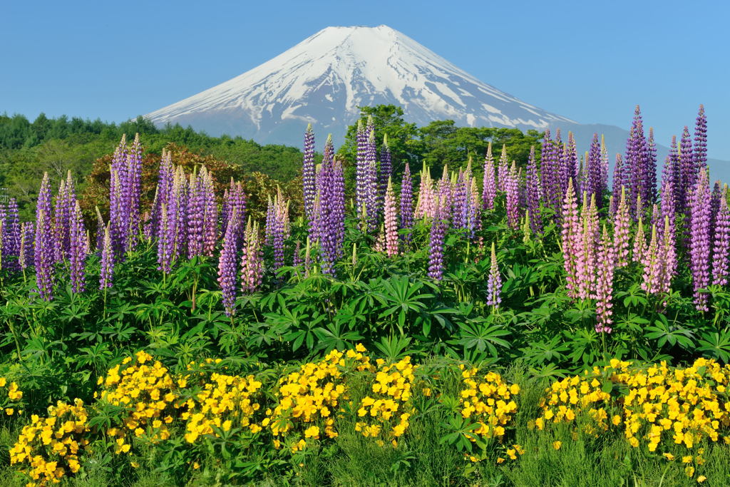 週末の富士山48