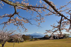 週末の富士山39